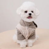 Plush Coat & Matching Turtleneck Sweater Two-Piece Dog Outfit Set